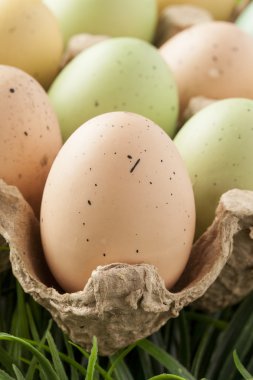 renkli boyalı Paskalya yumurtaları