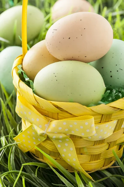 Colored Dyed Easter Eggs — Stock Photo, Image
