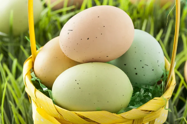 Цветные окрашенные пасхальные яйца — стоковое фото