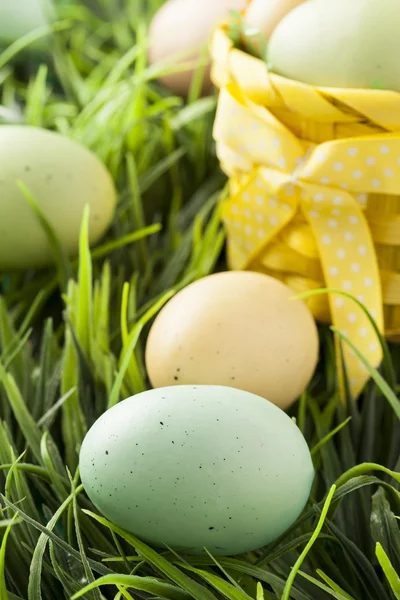 Colored Dyed Easter Eggs — Stock Photo, Image