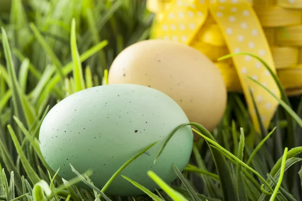 Colored Dyed Easter Eggs — Stock Photo, Image