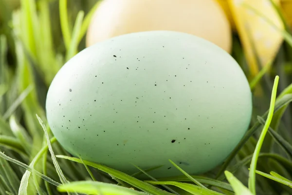 色染的复活节彩蛋 — 图库照片