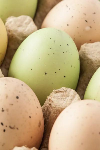 Gekleurde geverfde paaseieren — Stockfoto