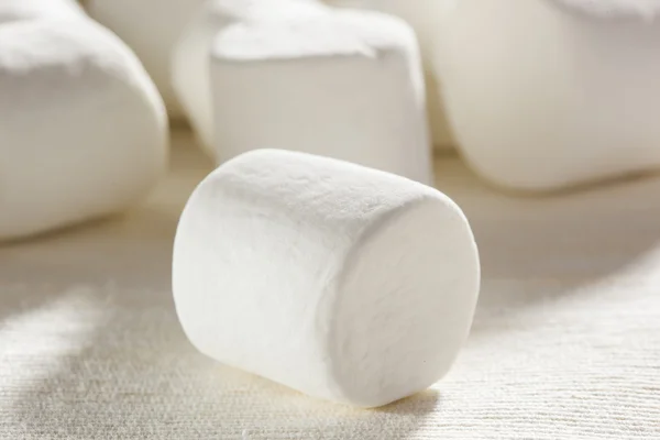 Herkullinen valkoinen pörröinen pyöreä vaahtokarkit — kuvapankkivalokuva