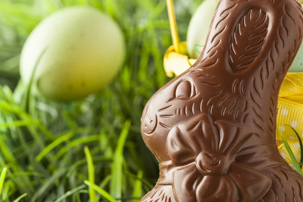 Coniglietto di Pasqua di cioccolato festivo — Foto Stock