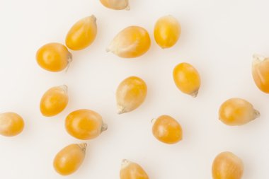 Organik çiğ sarı mısır taneleri