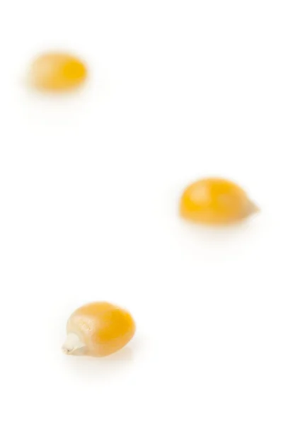 Organic Raw Yellow Corn Kernels — Stock Photo, Image