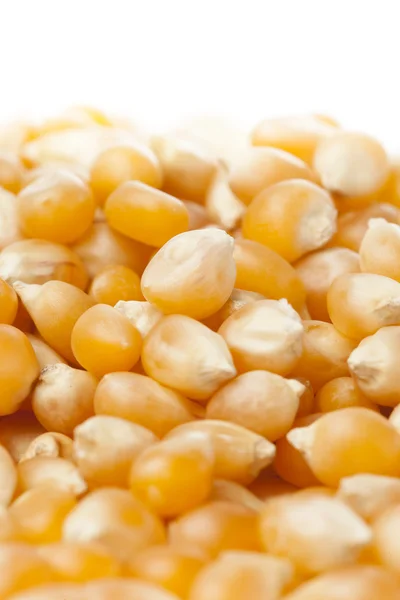 Grains de maïs jaunes crus biologiques — Photo
