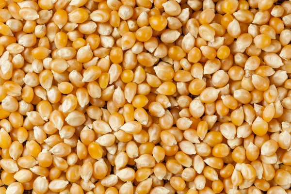 Organic Raw Yellow Corn Kernels — Stock Photo, Image