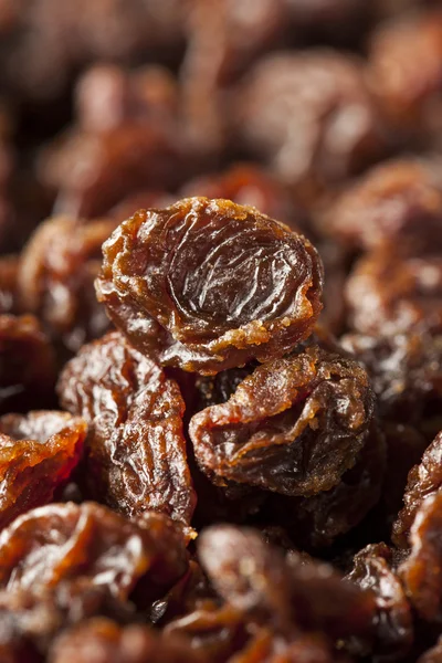 Organic Dried Raw Raisins — Stock Photo, Image