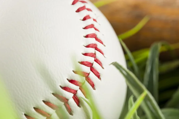 Neuer weißer Baseball im grünen Gras — Stockfoto