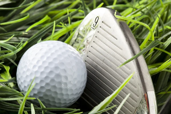 Pure White Golfball on green grass — Stock Photo, Image