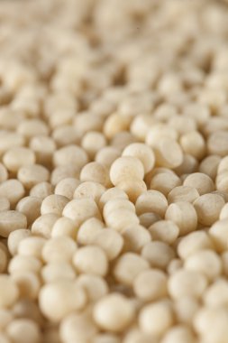 Organik çiğ Ortadoğu kuskus