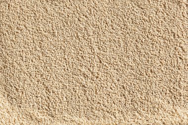 ekmek pişirme için organik çiğ Maya