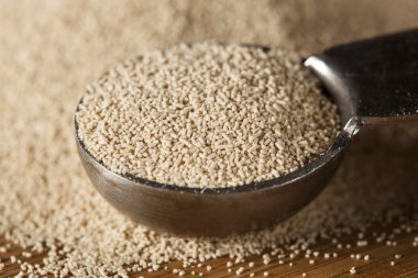 ekmek pişirme için organik çiğ Maya