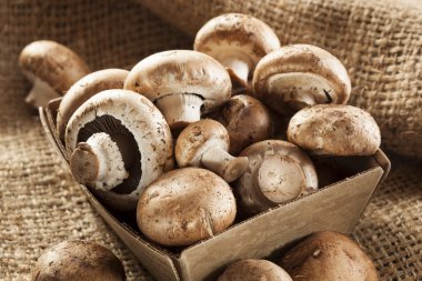 Organik kahverengi bebek bella mantar