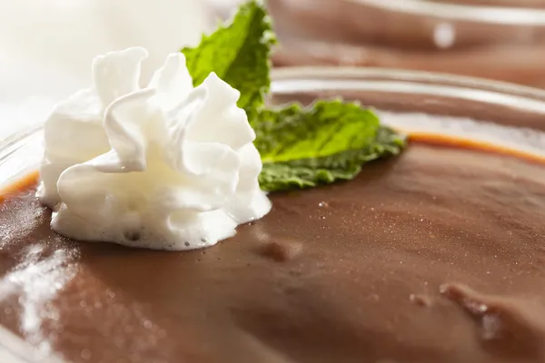 Sıcak ev yapımı çikolatalı puding — Stok fotoğraf