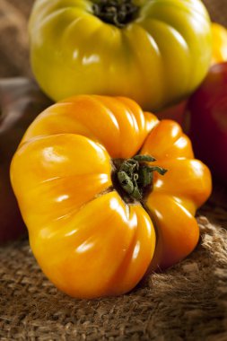 taze organik olgunlaşmış domatesler