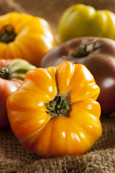 Fresh Organic Ripe Heirloom Tomatoes — Stock Photo, Image