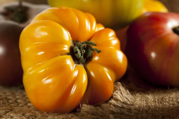 Tomates Heirloom maduros orgânicos frescos — Fotografia de Stock