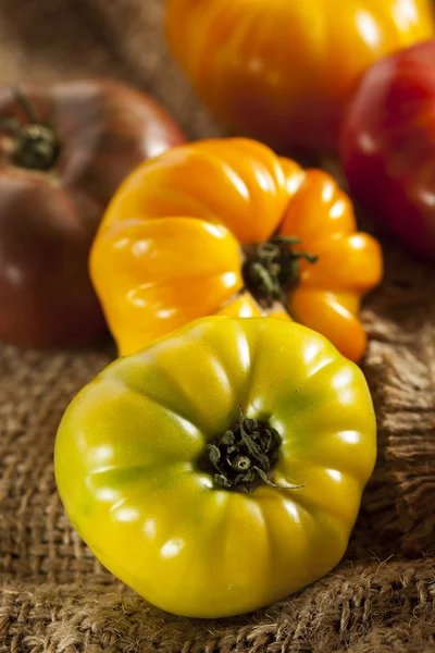 Fresh Organic Ripe Heirloom Tomatoes — Stock Photo, Image