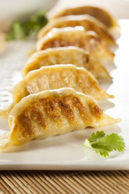 ev yapımı Asya vejeteryan potstickers
