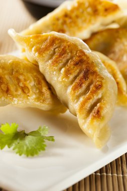 ev yapımı Asya vejeteryan potstickers
