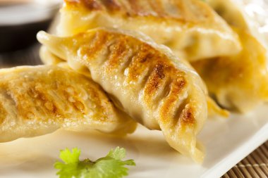 ev yapımı Asya vejeteryan potstickers