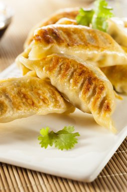 ev yapımı Asya vejeteryan potstickers