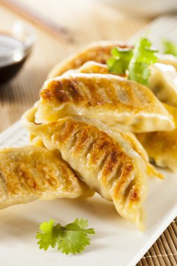 ev yapımı Asya vejeteryan potstickers