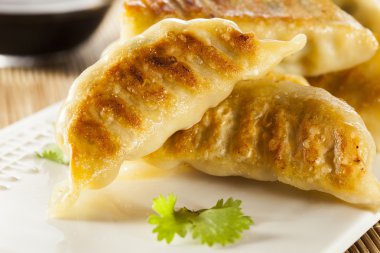 ev yapımı Asya vejeteryan potstickers