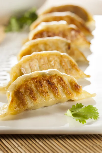 Homemade Asian Vegeterian Potstickers — Stock Photo, Image