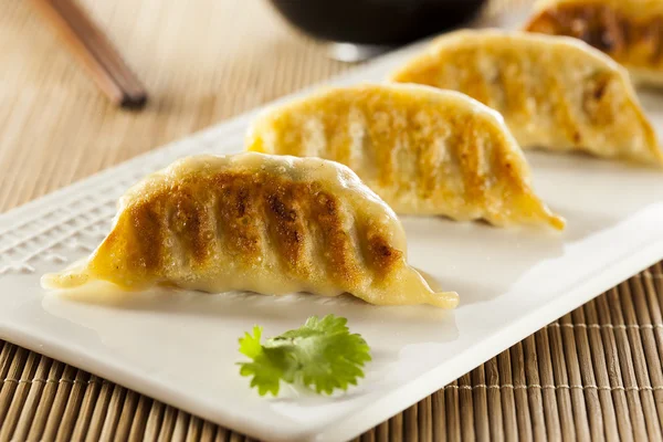 Caseiro asiático Vegeterian Potstickers — Fotografia de Stock