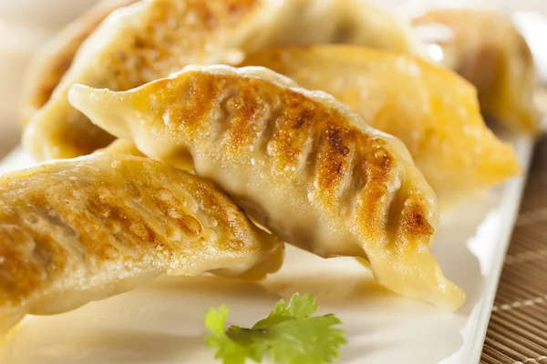 Homemade Asian Vegeterian Potstickers — Stock Photo, Image