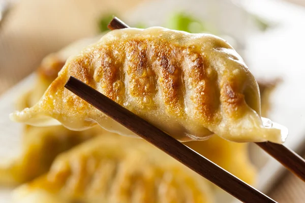 Hemlagad asiatiska vegeterian potstickers — Stockfoto