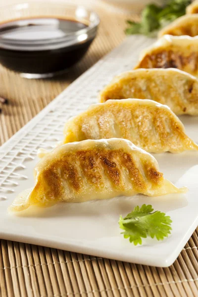 Homemade Asian Vegeterian Potstickers — Stock Photo, Image