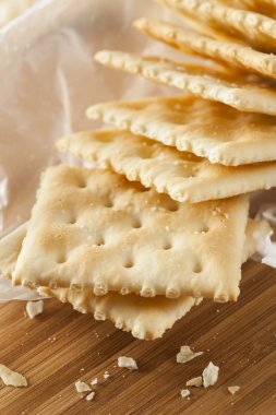 Organik tam buğday kola kraker