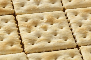 Organik tam buğday kola kraker