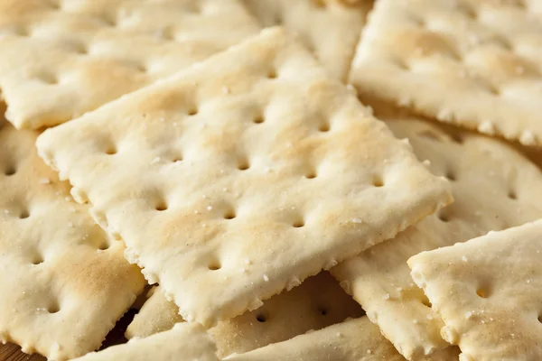 Biscoitos de soda de trigo inteiro orgânico — Fotografia de Stock