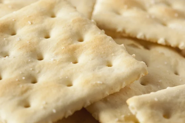 Organic Whole Wheat Soda Crackers — Stock Photo, Image