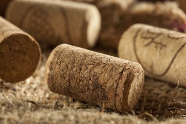 rustik kahverengi şarap mantarlar