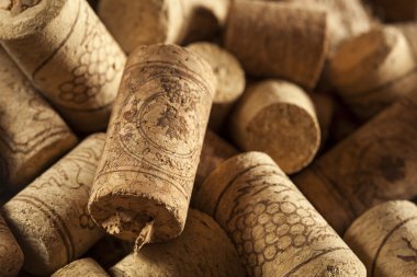 rustik kahverengi şarap mantarlar