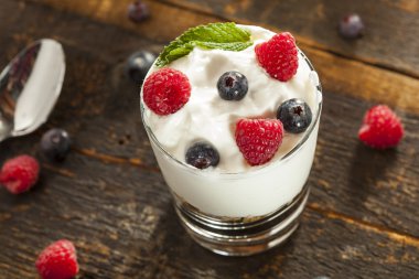 ev yapımı organik taze meyve parfe