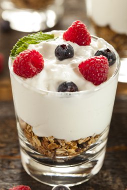 ev yapımı organik taze meyve parfe