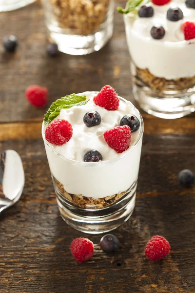 Homemade Organic Fresh Fruit Parfait — Stock Photo, Image