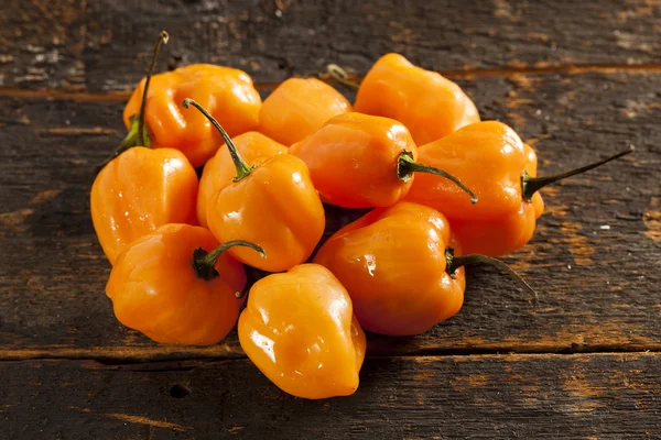 Organic Hot and Spicy Habanero Peppers — Stock Photo, Image