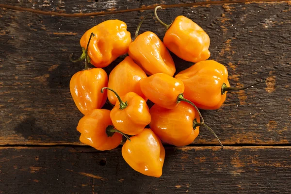 Organic Hot and Spicy Habanero Peppers — Stok fotoğraf