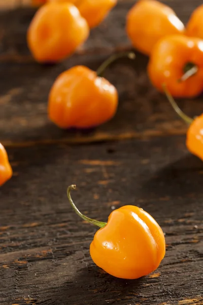 Organic Hot and Spicy Habanero Peppers — Stock Photo, Image