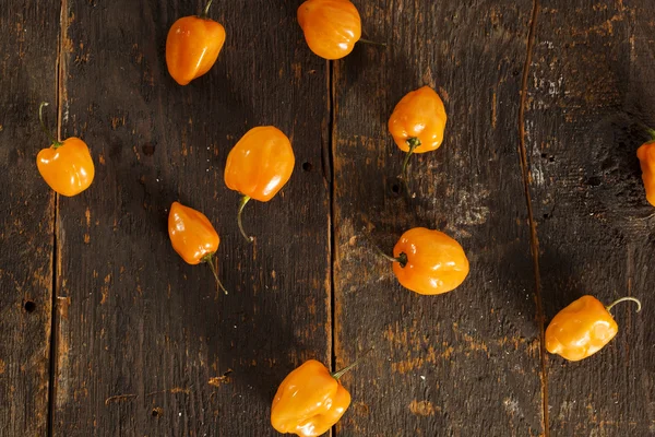 Organic Hot and Spicy Habanero Peppers — Stok fotoğraf