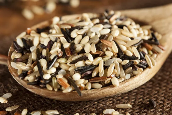 Organic Dry Multi Grain Rice — Stock Photo, Image